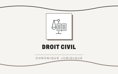 Trois caractères erronés dans un code postal : la Cour suprême annule une élection fédérale