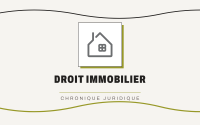Terrain non constructible : la vente est annulée, mais qui paie la note? Leçons sur l&rsquo;erreur et le vice de consentement