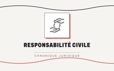 Faux profils Facebook et campagne de salissage : comment un tribunal démasque un pseudonyme